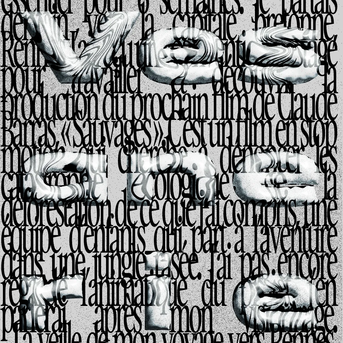 Vesanerie typo copie
