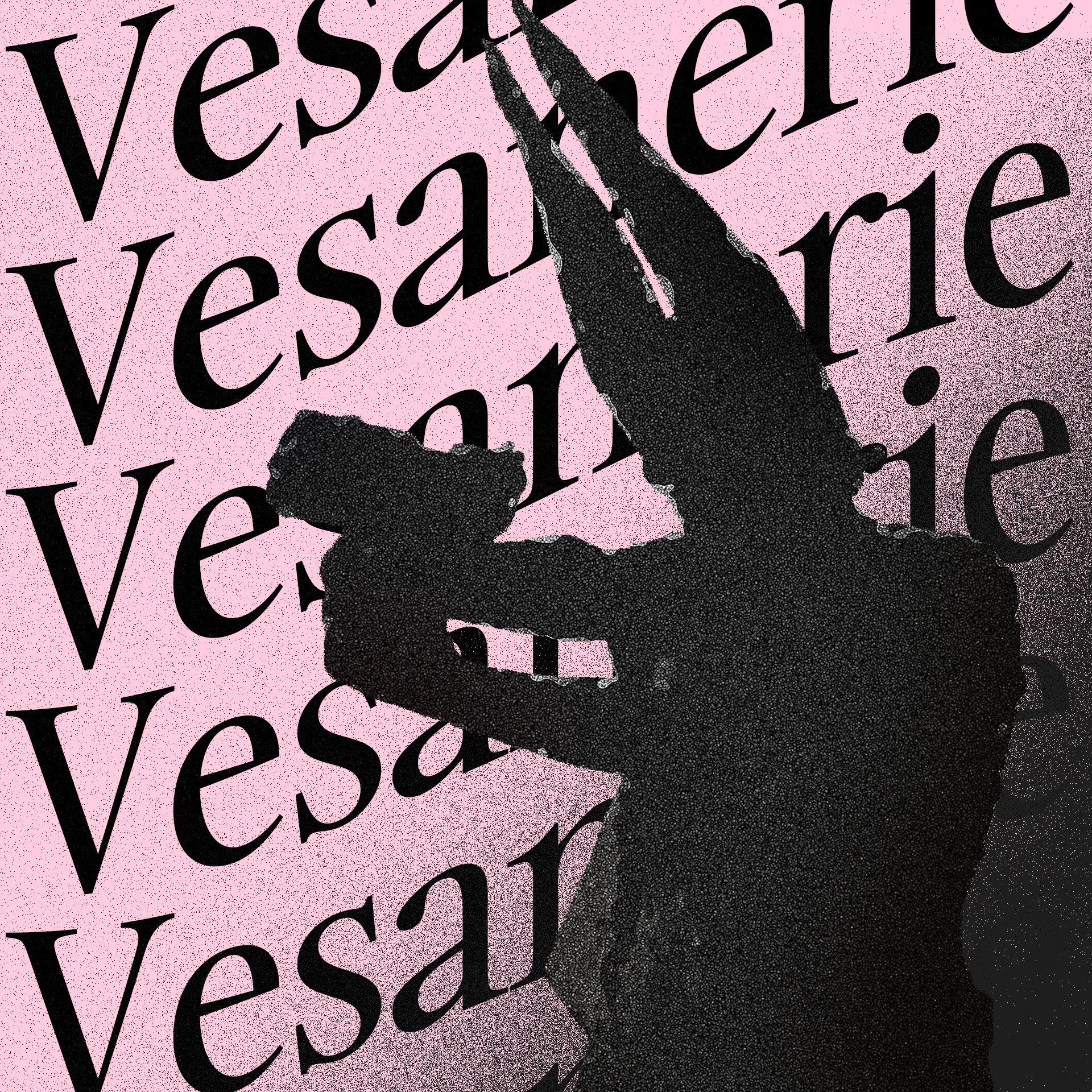 Da Vesanerie