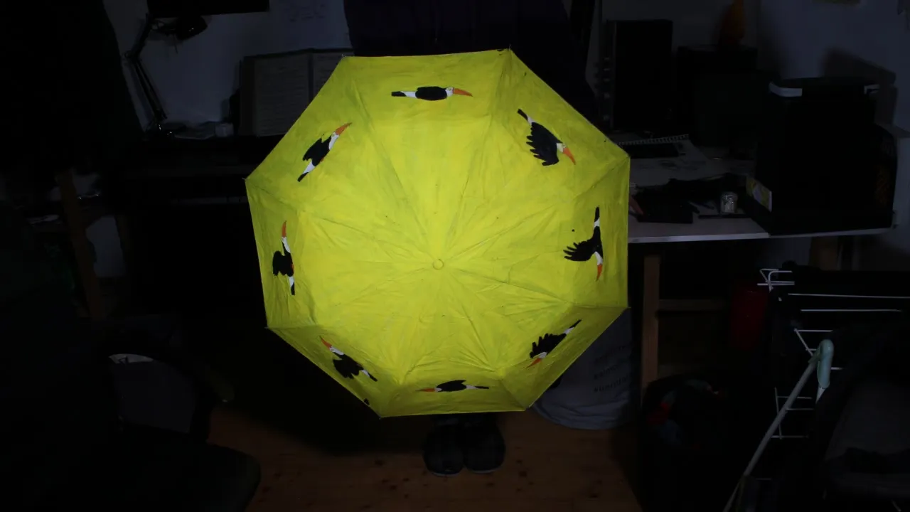 Toucan Parapluie